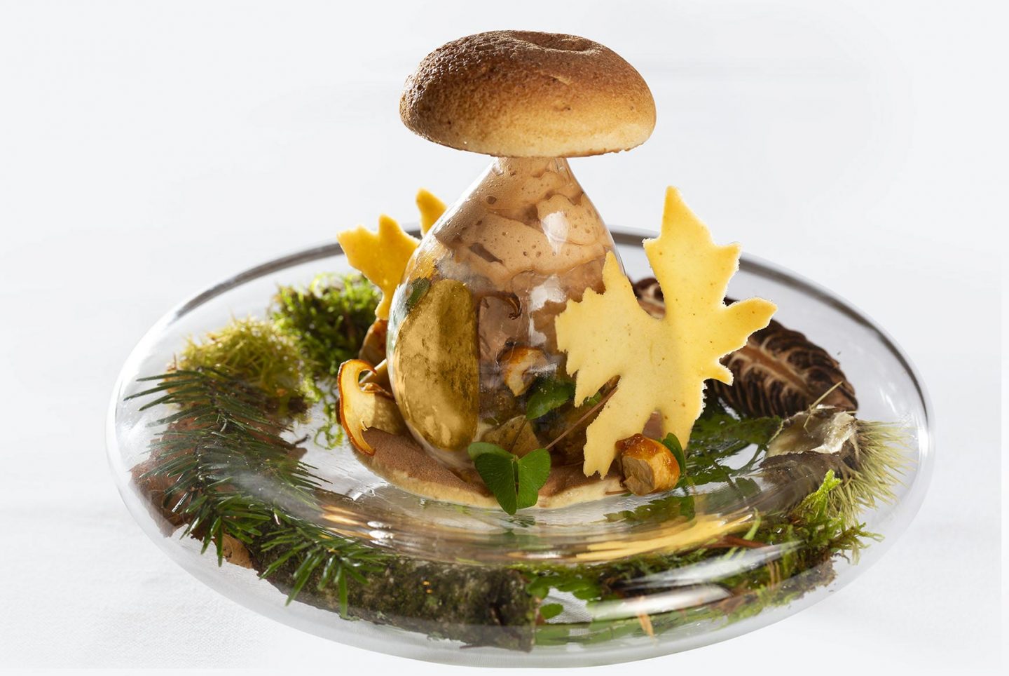 Villa René Lalique carte d'automne